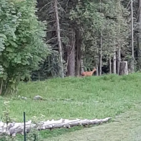 Cosy Spa Hébergement de vacances